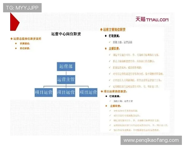 体育明星个人品牌运营的团队化架构研究谈